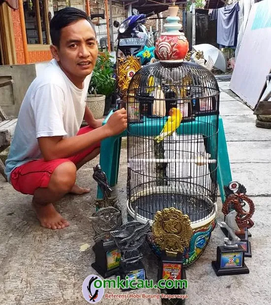 perawatan lovebird