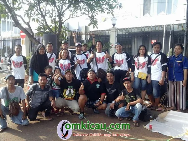 7371 Team