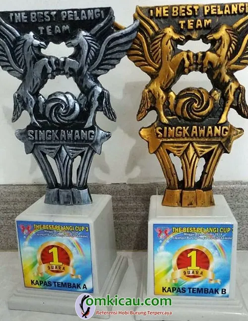 kapas tembak jawara