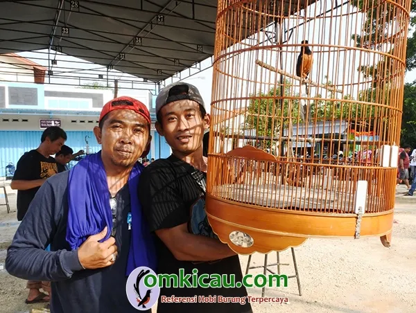 murai batu Djarot