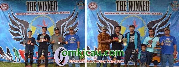 juara pleci
