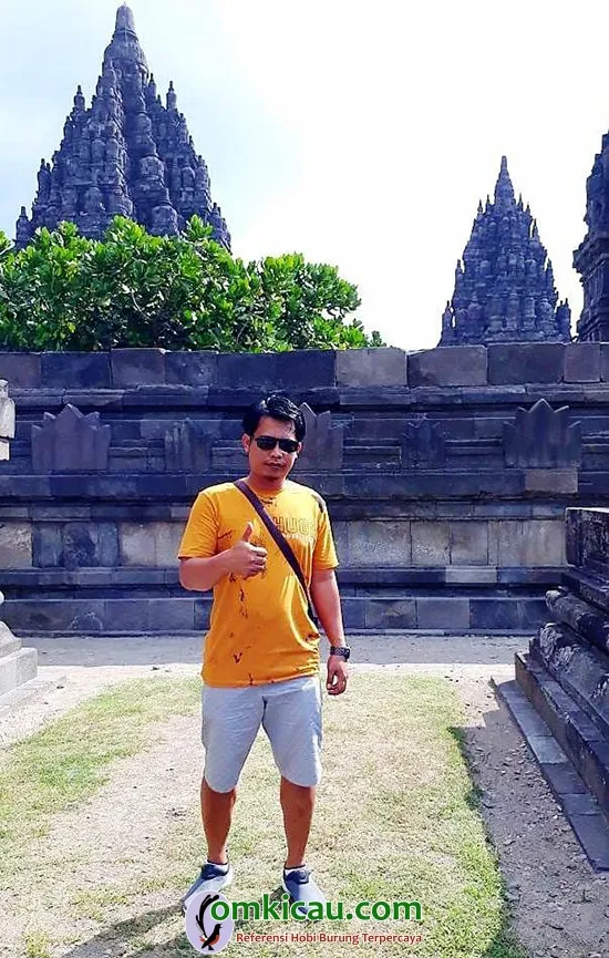 cara merawat burung murai batu