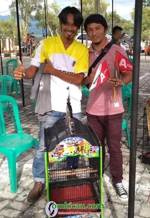 perawatan kacer