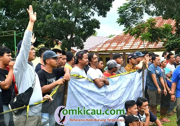 Launching TRBC
