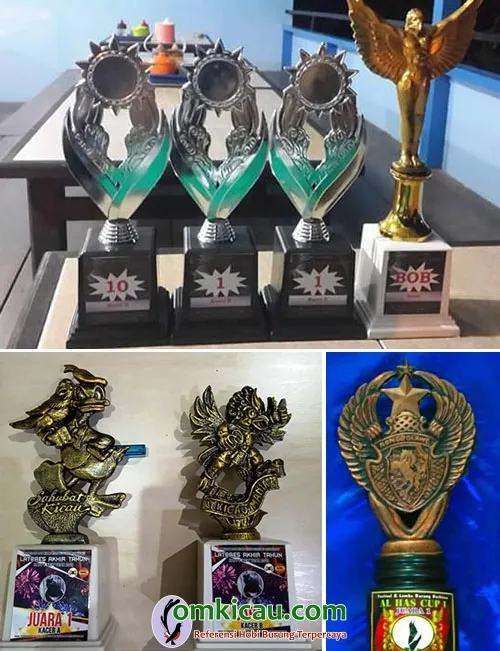 kacer prestasi