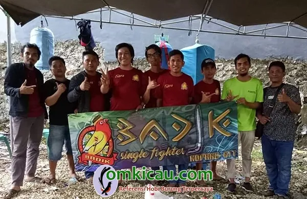 Bajak BC