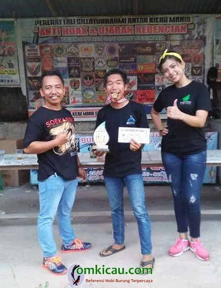 serindit jawara