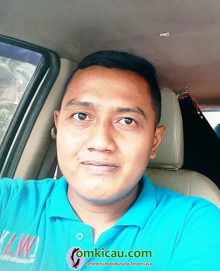 beternak lovebird warna