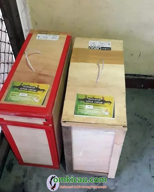ayam aduan