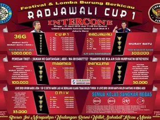 Radjawali Cup 1 Intercone