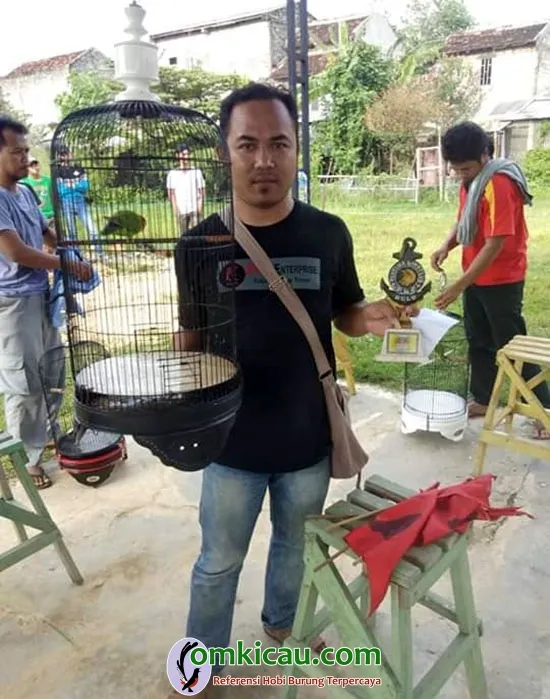 lovebird Patas