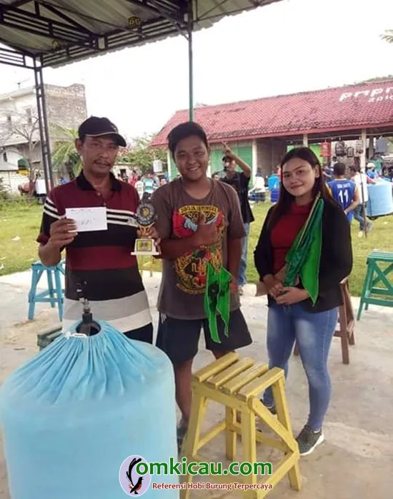 Murai batu Sirod