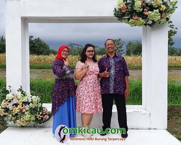ternak perkutut