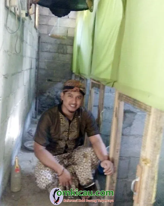 ternak murai batu