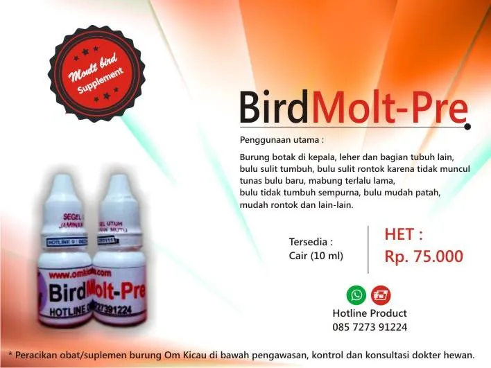 Bird Molt-Pre Bird Molt Pre