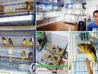 Terminal Canary