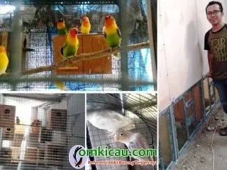 Farm Bird Collection FBC
