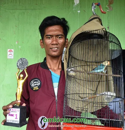 lovebird PB