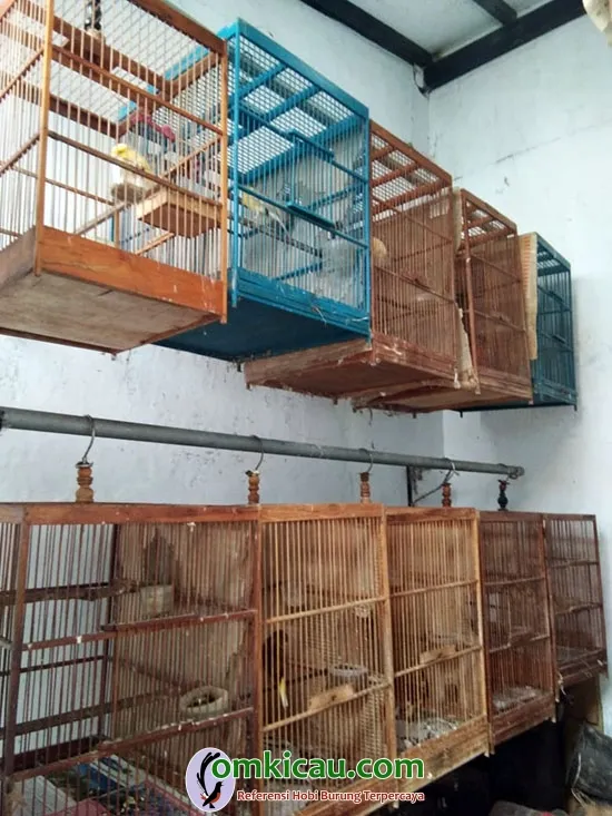 Kita BF Tegal