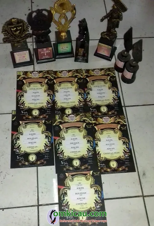 perawatan kacer