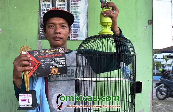 Om Petok
