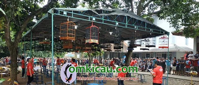 kelas cucak ijo