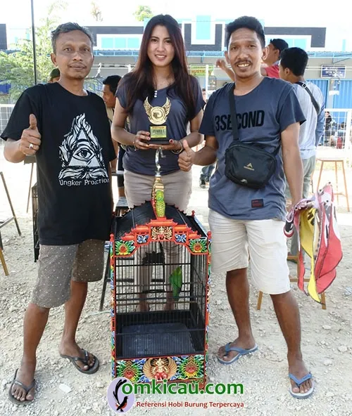 Cucak ijo Nolo Gareng