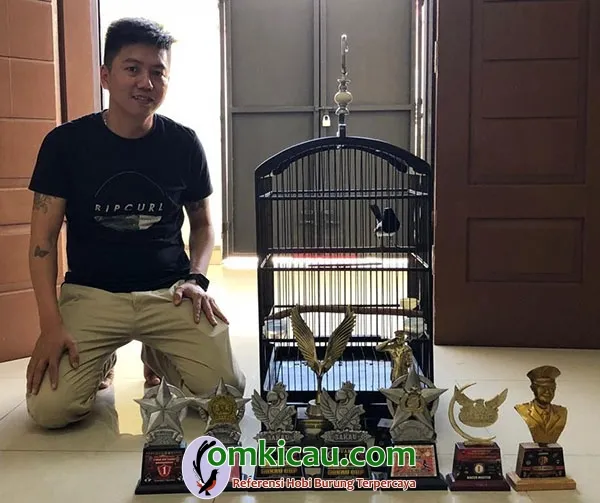 Om David Carlo