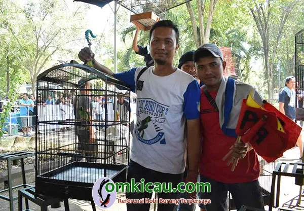 cucak ijo Excelco