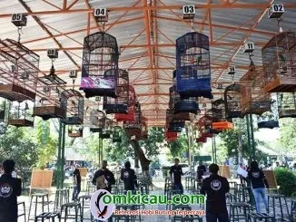Trio Jelitheng Cup 2