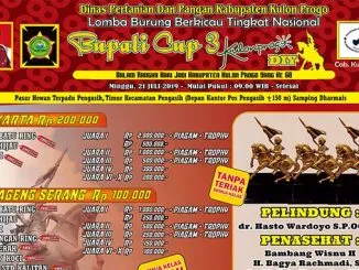 Bupati Cup 3 Kulonprogo