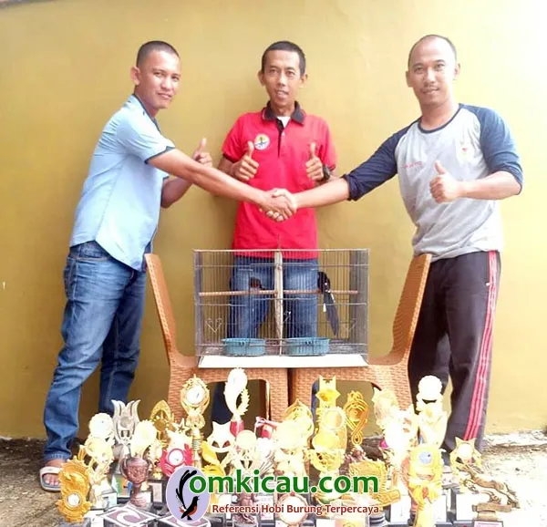 ternak burung murai batu