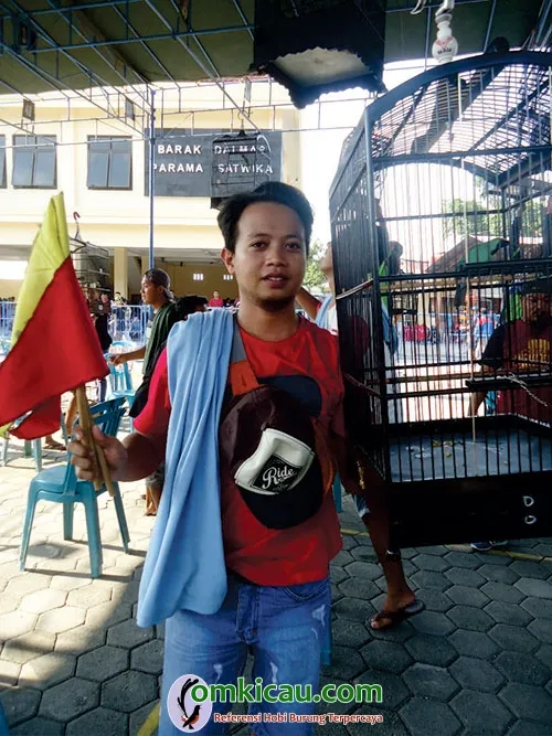 Cucak ijo Cheng Hoo Jr