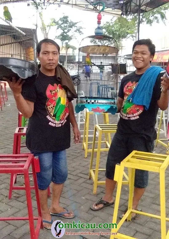 cara merawat lovebird