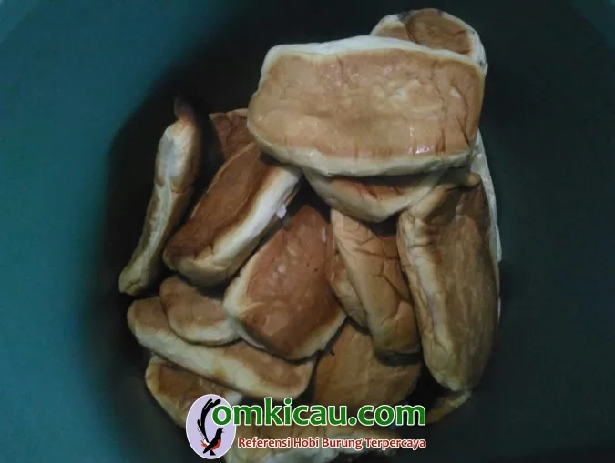 roti open pengganti milet pakan lovebird roti open pengganti milet pakan lovebird