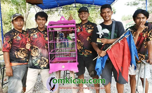 Cucak ijo Cabe Rawit