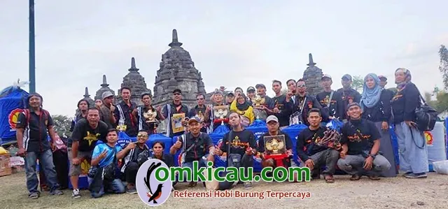 Murai Mania Sidoarjo Murai Mania Sidoarjo