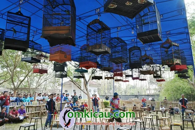 Sari Ayam Blora Cup Sari Ayam Blora Cup