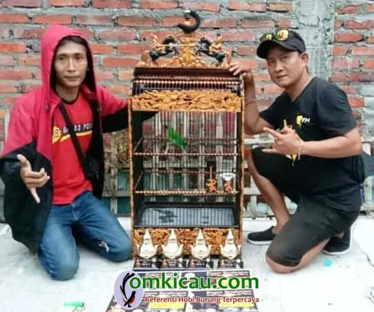 Om Jabrix Kanan Sukses Kawal Cucak Ijo Volcano