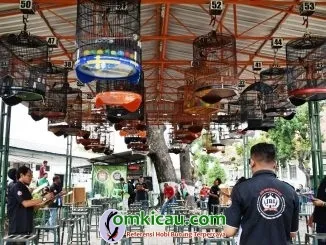 Suasana Penjurian Kelas Murai Batu 1