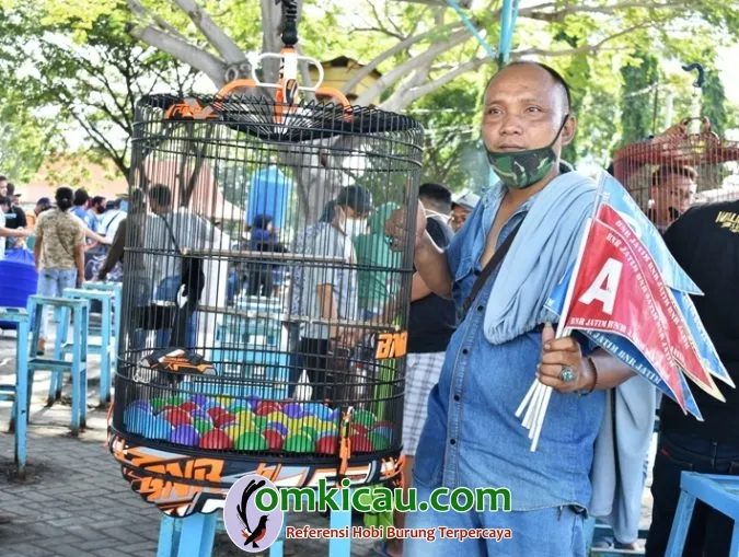 Om Arifin Moncer Bersama Murai Batu Modus.