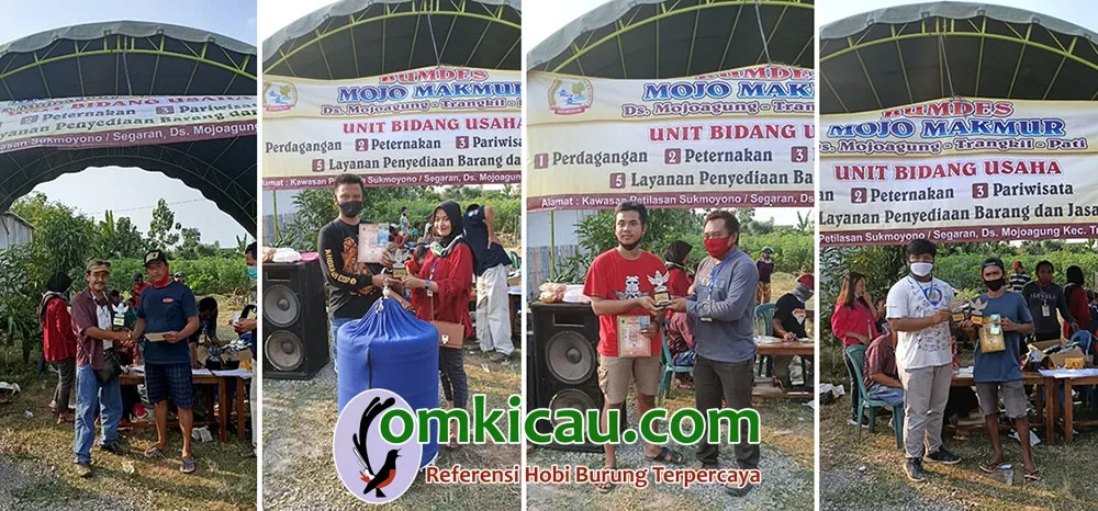 hasil lomba burung