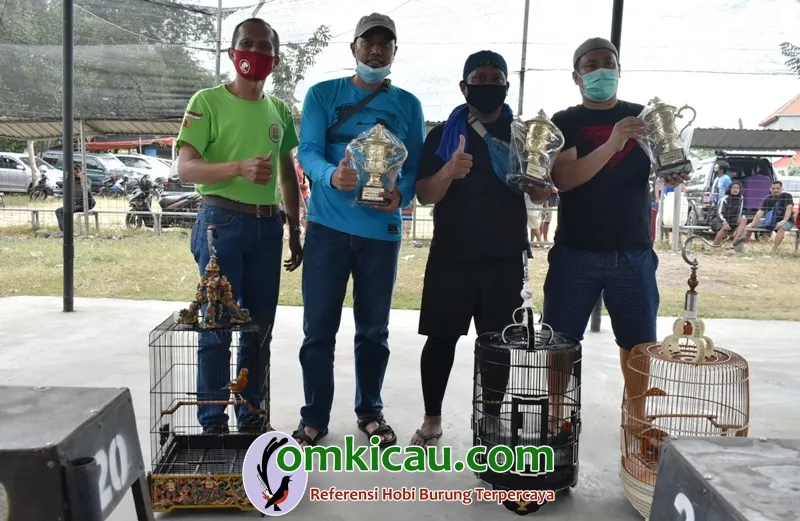 Pemenang Kelas Anis Merah A.