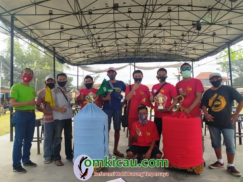 Pemenang Kelas Murai Batu A.