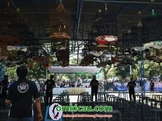 Penjurian Kelas Murai Batu. 1