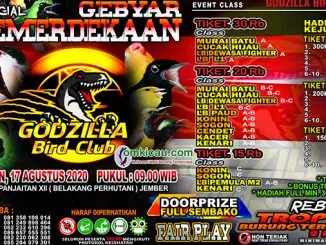 Feat Latber Special Gebyar Kemerdekaan Godzilla Bird Club