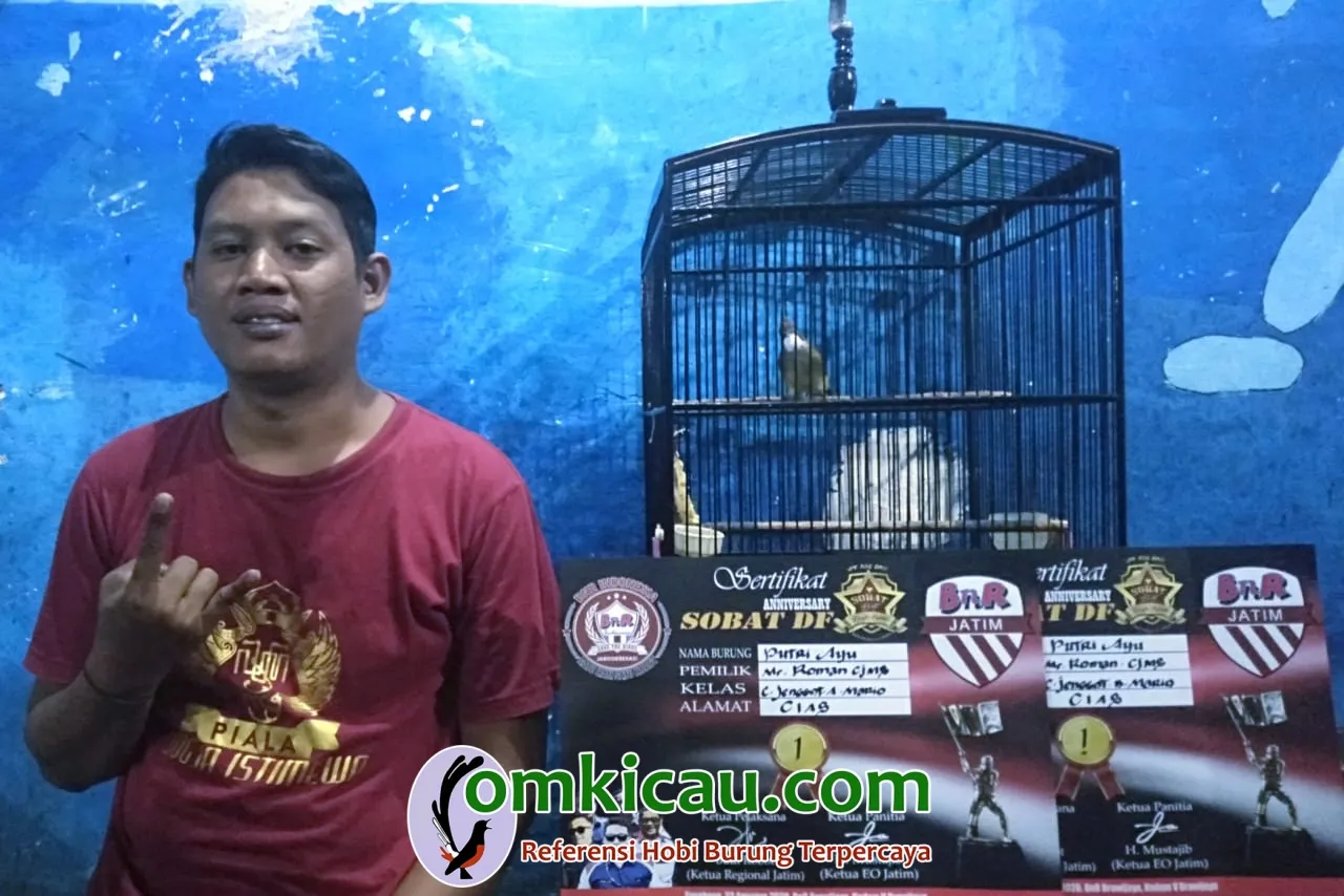 Om Roman Nyeri Dengan Cucak Jenggot Putri Ayu