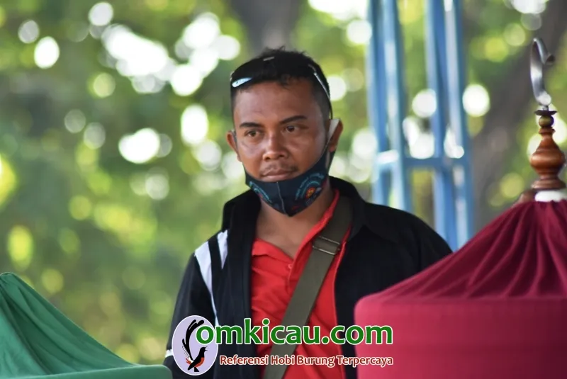 Om Rohman Mekanik Cucak Hijau Sliut.