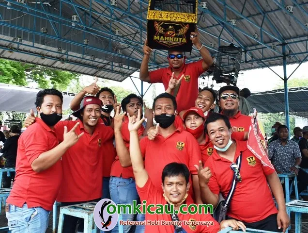 Mahkota SF Moncer Bersama Cucak Hijau Sliut..