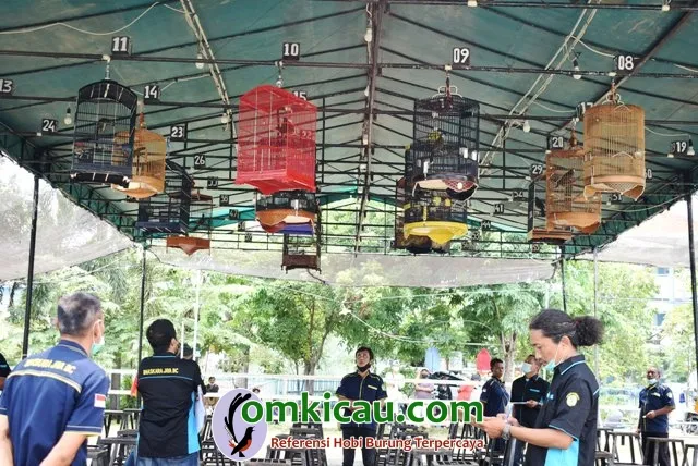 Penjurian Kelas Poksay Hongkong 1